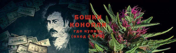 амфетамин Белокуриха