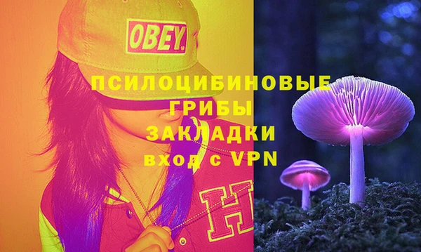 амфетамин Белокуриха