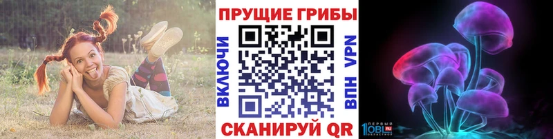 закладка  Магас  Галлюциногенные грибы Psilocybe 